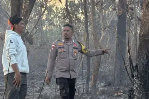 Polres Kepulauan Tanimbar Padamkan Titik Api di Perladangan Desa Latdalam.