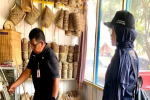Potensi Rotan Melimpah, Barito Utara Dorong Kerajinan Jadi Produk Bernilai Tinggi