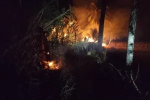 221,43 Hektare Lahan Terdampak Karhutla di Parimo Sepanjang 2026