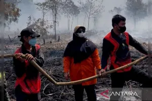 Asap Karhutla Makin Meluas, Kemlu Intensifkan Koordinasi Kawasan