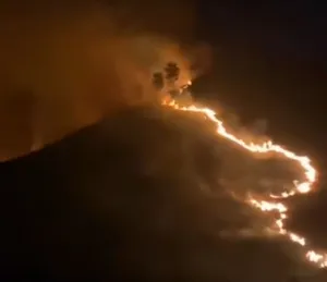 Bromo Kembali Dilanda Kebakaran di Bukit Kawinajang Kamis Sore
