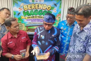 Budidaya Maggot di Seluruh Kelurahan Bengkulu, Ada Potensi Ekonomi