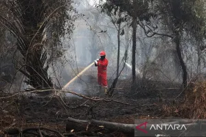 Pemprov Kalbar Perpanjang Status Darurat Asap Karhutla hingga 20 September 2026
