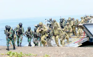 Jangan Cuma TNI, CSIS Minta Basarnas dan BNPB Juga Diberi Armada Kapal Bencana