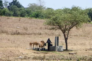 Kerugian Iklim Melonjak, RUU Perubahan Iklim Mendesak