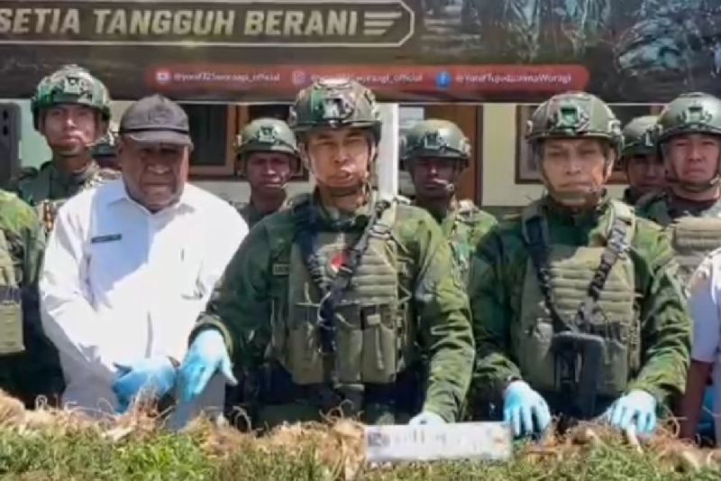 Ladang Ganja KKB Egianus Kogoya Ditemukan Satgas Yonif 72...