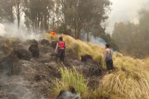 Kemenhut Bentuk Tim Khusus Selidiki Dugaan Pidana Karhutla Bromo