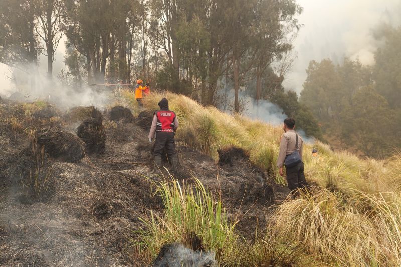 Kemenhut Bentuk Tim Khusus Selidiki Dugaan Pidana Karhutla Bromo