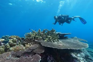  3 Pulau di Maluku Tengah Ditetapkan Jadi Kawasan Konservasi Raksasa