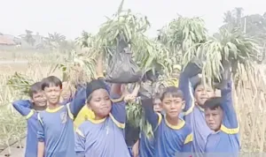 Dari Pembatas Jalan Jadi Kebun Edukasi, Median Jalan Bomang Bogor Disulap TNI Jadi Eduwisata