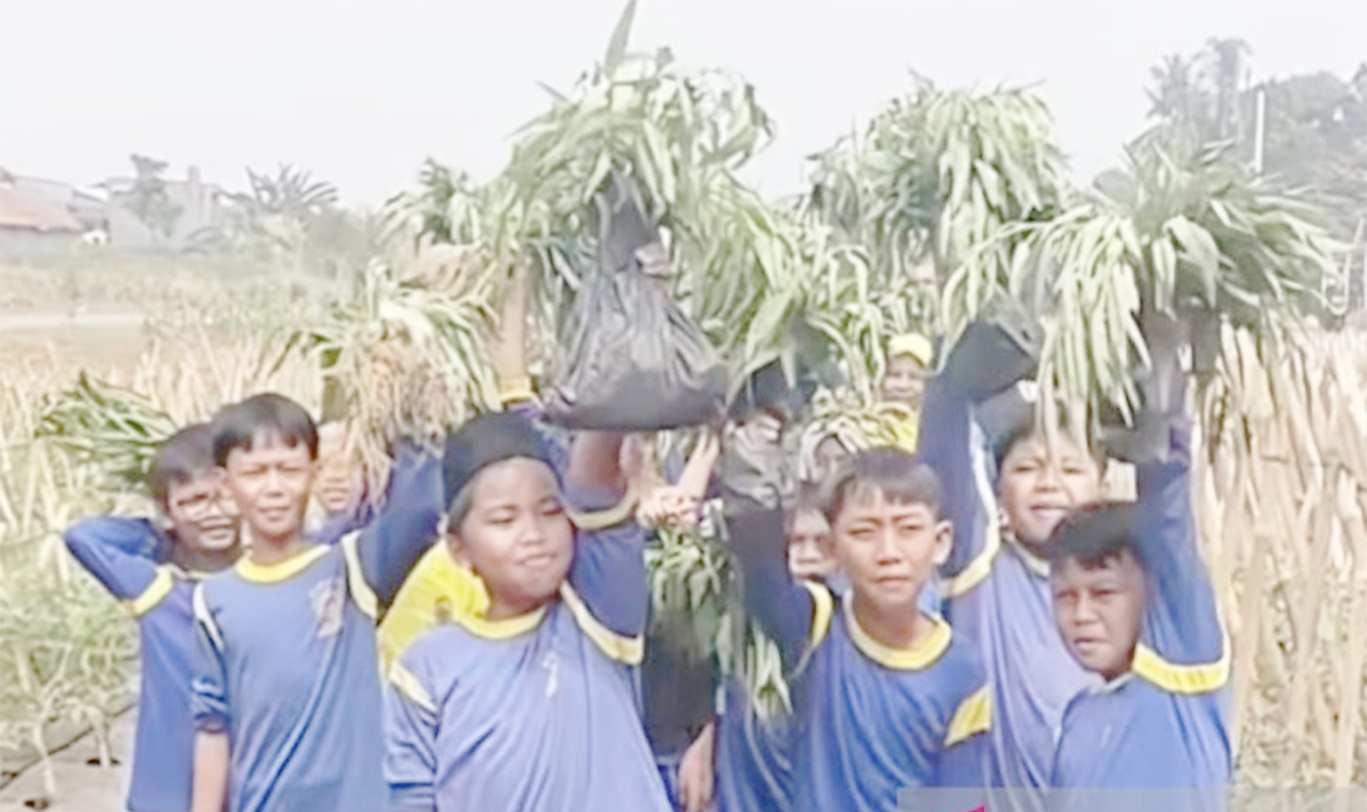 Dari Pembatas Jalan Jadi Kebun Edukasi, Median Jalan Bomang Bogor Disulap TNI Jadi Eduwisata
