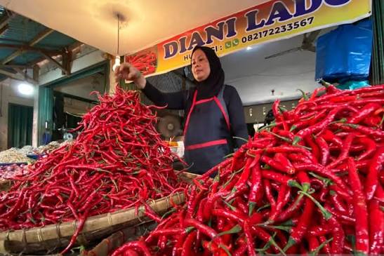 Harga Cabai Makin "Pedas"! Redam Gejolak, Bapanas  Kirim Stok dari Daerah Surplus