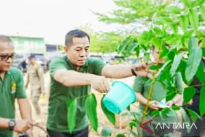 Hari Jadi Karawang, Karangan Bunga Diganti dengan Bibit Pohon