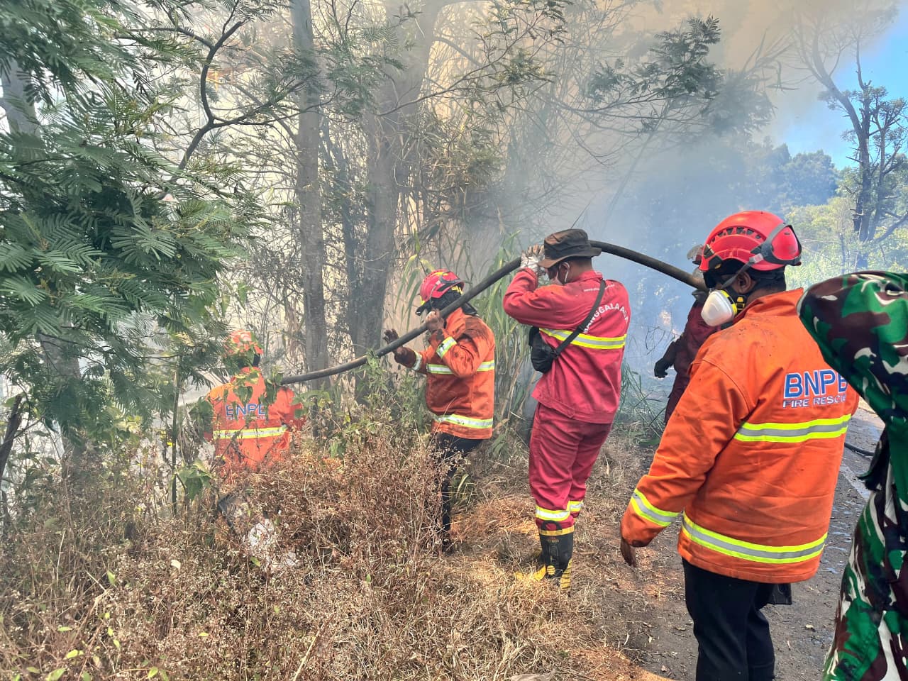 Akhirnya Bromo Hillside Selamat dari Api, Angin Kencang Paksa Pemadaman Optimalkan Jalur Darat