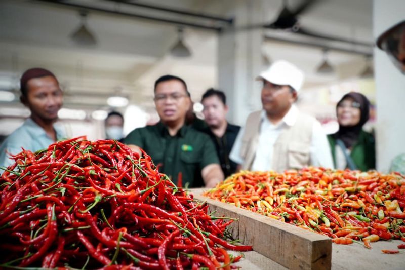 Stabilkan Harga, Bapanas dan Kementerian Pertanian Fasilitasi Distribusi Cabai 