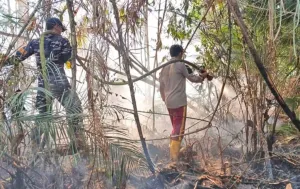 Tim Gabungan Tangani Karhutla 12 Hektare di Lingga Kepulauan Riau