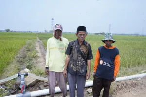 305 Hektare Sawah Cirebon Selamat! Jurus Kementan Lawan Kekeringan Pakai Irigasi Panel Surya