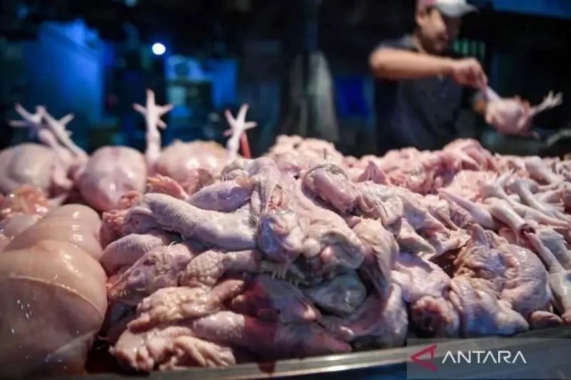 Harga Daging Ayam, Telur Hingga Beras Alami Kenaikan
