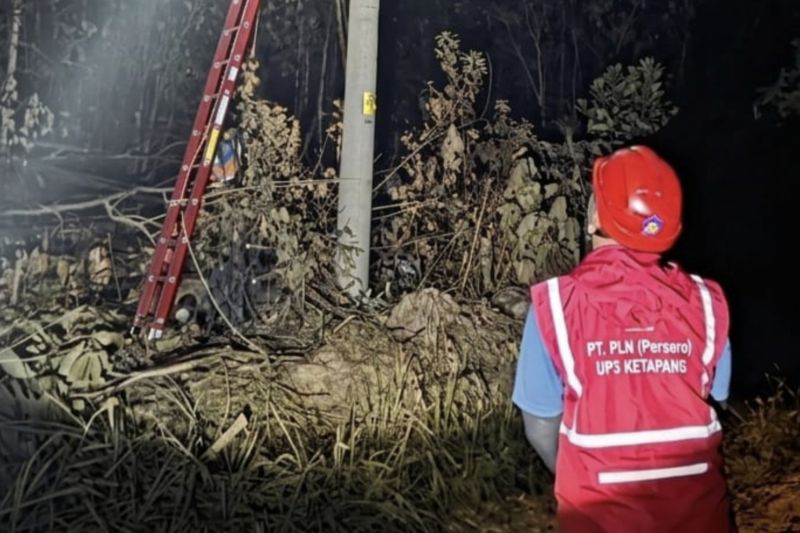 Karhutla Ketapang Ganggu Jaringan Listrik, PLN Bergerak Cepat Amankan dan Pulihkan Pasokan.