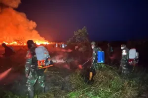 Karhutla Poso Mengganas! Tim Gabungan Turun Tangan Padamkan Api di Pasir Putih