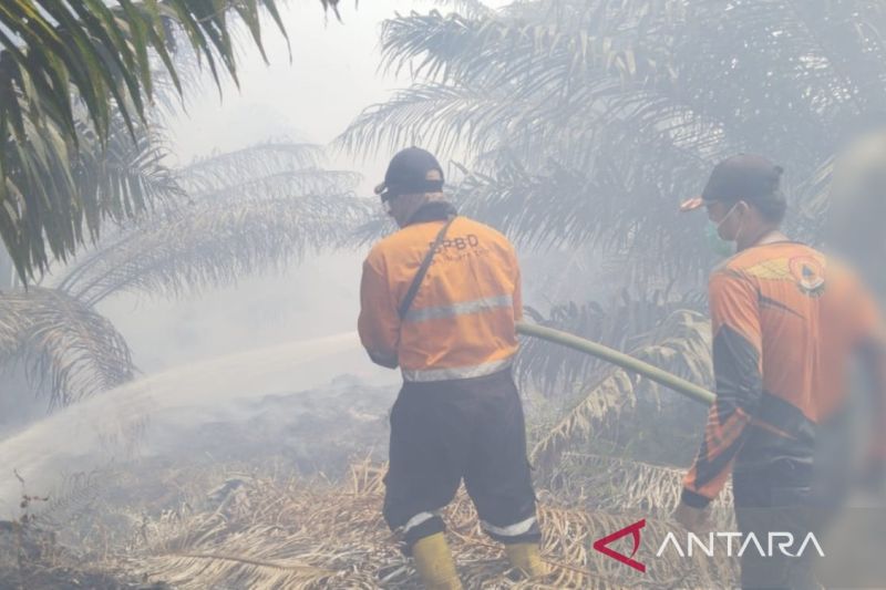 Kebakaran Hutan dan Lahan di Muara Enim Belum Padam, Asap Tebal Selimuti Desa Teluk Limau.