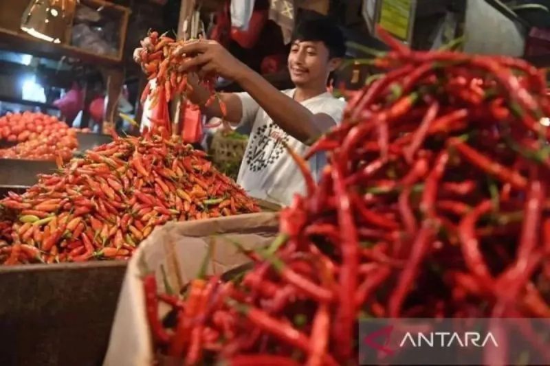 Lonjakan Harga Cabai Rawit Bikin 260 Daerah Kena Imbas, B...