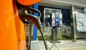 Mitos atau Fakta: Apakah Bi...