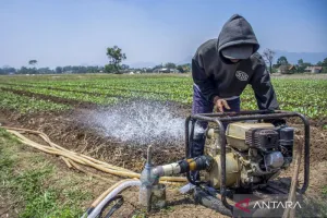 Pompanisasi Jangan Asal Jal...