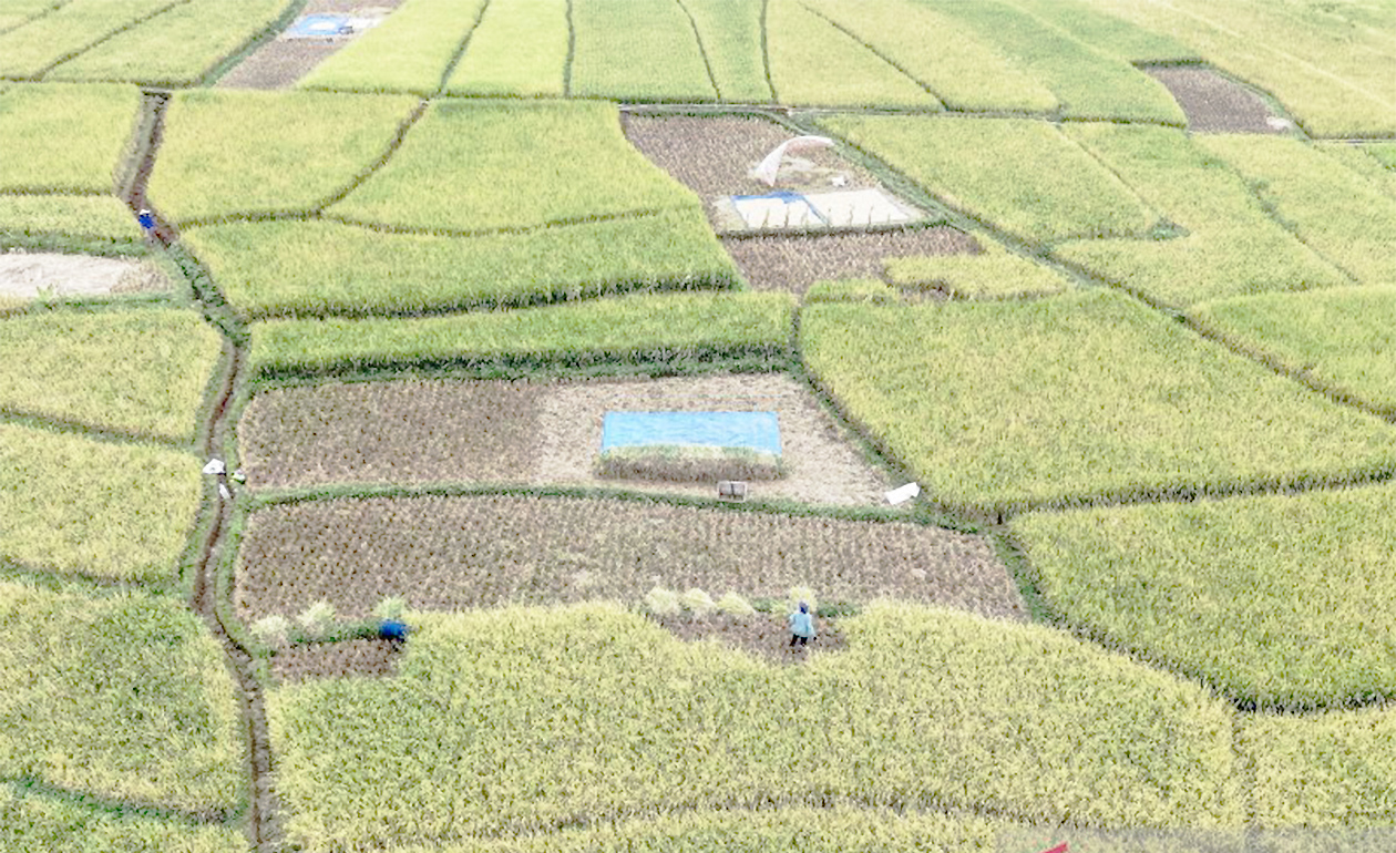 Anggota DPR Minta Bulog Optimalkan Penyerapan Hasil Petani dan Nelayan