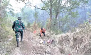 Antisipasi Karhutla Lereng Gunung Lawu, 276 Personel Gabungan Disiagakan