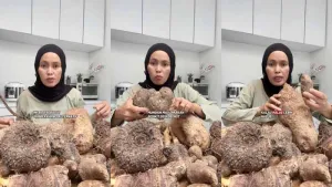 Apa Itu Kimpul yang Sempat ...
