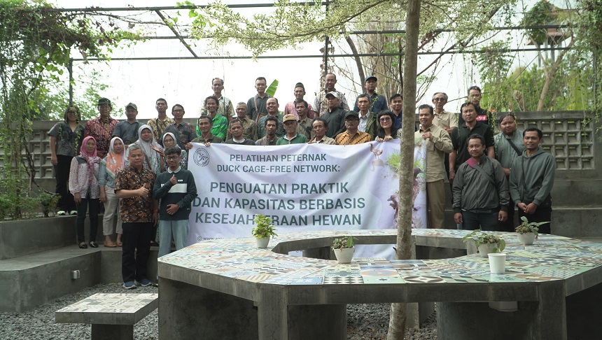 Bebas Sangkar untuk Itik Petelur, Praktik Pemeliharaan Be...