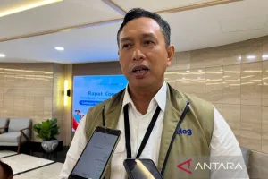 Dirut Bulog: Stok Cadangan Beras di Gudang Bulog Capai 4,7 Juta Ton di Pertengahan September