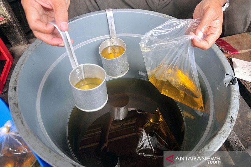Minyak Jelantah Jadi Sumber Energi Berkelanjutan, Ubah Li...