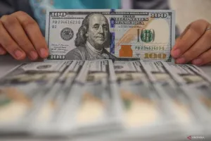 Utang Luar Negeri Juli 2026 Naik, RI Dibayangi Beban 454,8 Miliar Dollar AS