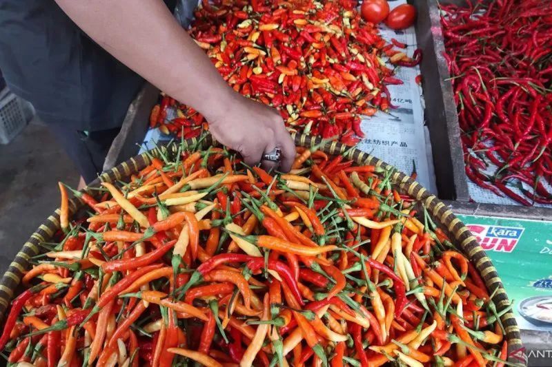 Harga Cabai Rawit Rp99.550/Kg, Telur Ayam Rp31.550/Kg
