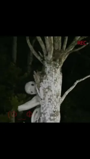 'About a Place in the Kinki Region': Investigasi yang Mengungkap Teror Supranatural Urban Legend
