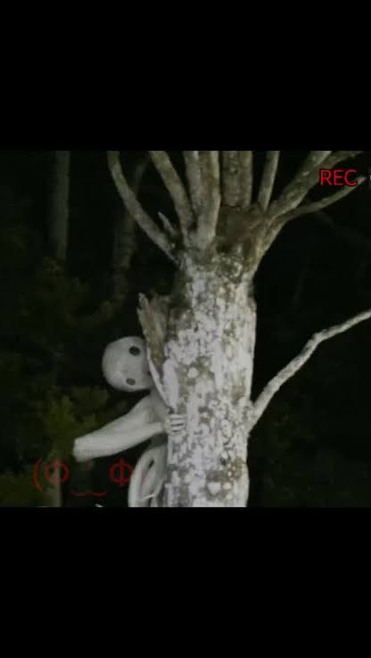 'About a Place in the Kinki Region': Investigasi yang Men...