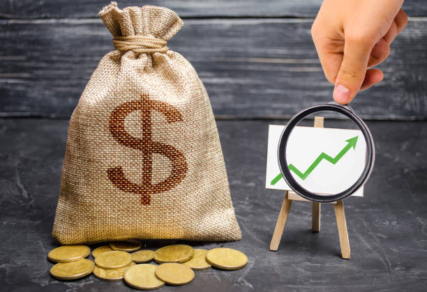 Investasi Perusahaan AS di Indonesia Capai Rp259,9 Triliun