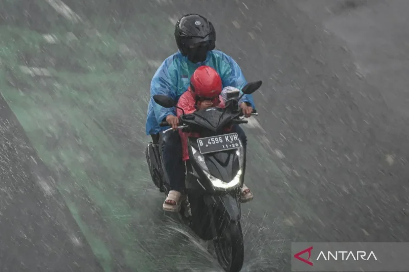 Hujan Mengintai Sejumlah Daerah Jumat Ini, BMKG Ungkap Wi...