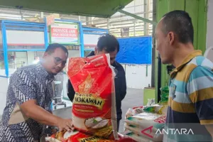 Tekan Harga, Bulog Malang Siap Perluas Penyaluran Beras Premium 