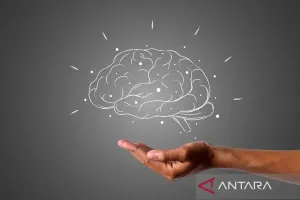 Mengejutkan Hasil Studi Terbaru Ini! Makin Banyak Bahasa yang Dikuasai, Otak Bisa Menua Lebih Lambat