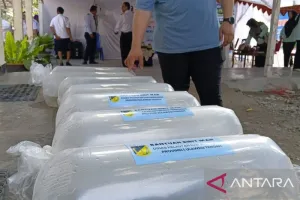 Pemprov Sulteng Salurkan Benih Nila Merah ke Sigi, Dorong Kemandirian Ekonomi Warga.