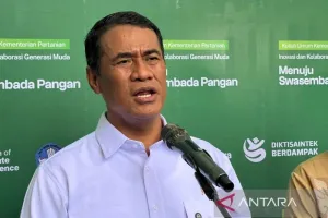 Mentan Amran Ungkap Bentuk Pelanggaran 25 Merek Beras Fortifikasi 