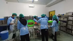 BGN akan Buat Sistem Rating untuk Dapur MBG yang Mirip Aplikasi Ojol