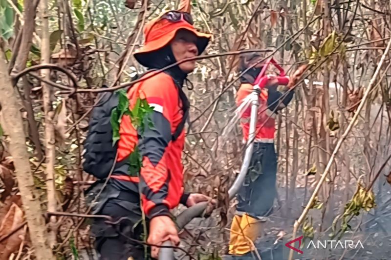 BPBD Kabupaten Muara Enim Padamkan Karhutla di Tiga Desa
