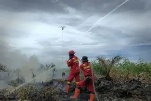 Karhutla Kembali Muncul di Inhil, Satu Helikopter Waterbombing Dikerahkan.
