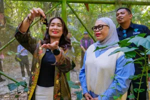Miliki Daya Tarik Kelas Dunia, Taman Nasional Bantimurung-Bulusaraung di Maros Tawarkan Wisata Alam