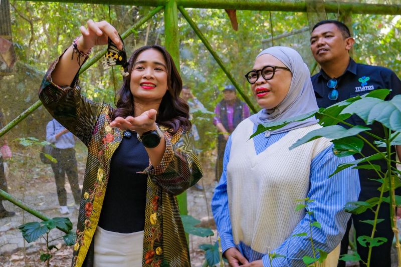 Miliki Daya Tarik Kelas Dunia, Taman Nasional Bantimurung-Bulusaraung di Maros Tawarkan Wisata Alam