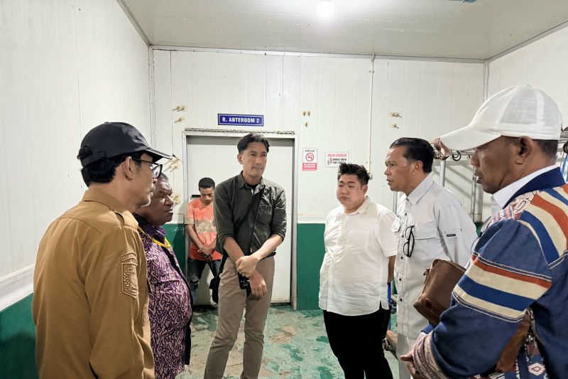 Pemprov Papua Dorong Pengembangan Potensi Ekonomi Sektor ...